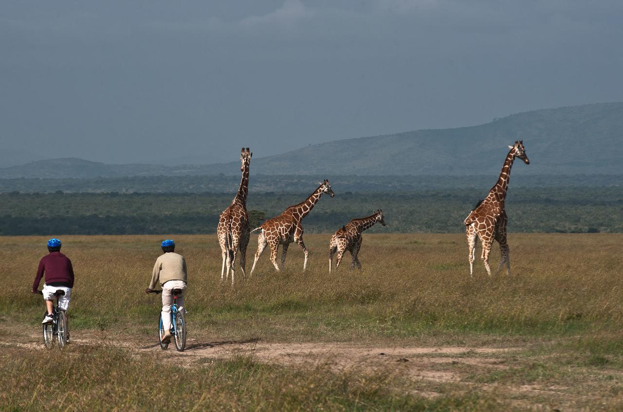 Villa Kicheche Laikipia Camp Ol Pejeta Conservancy Exterior foto